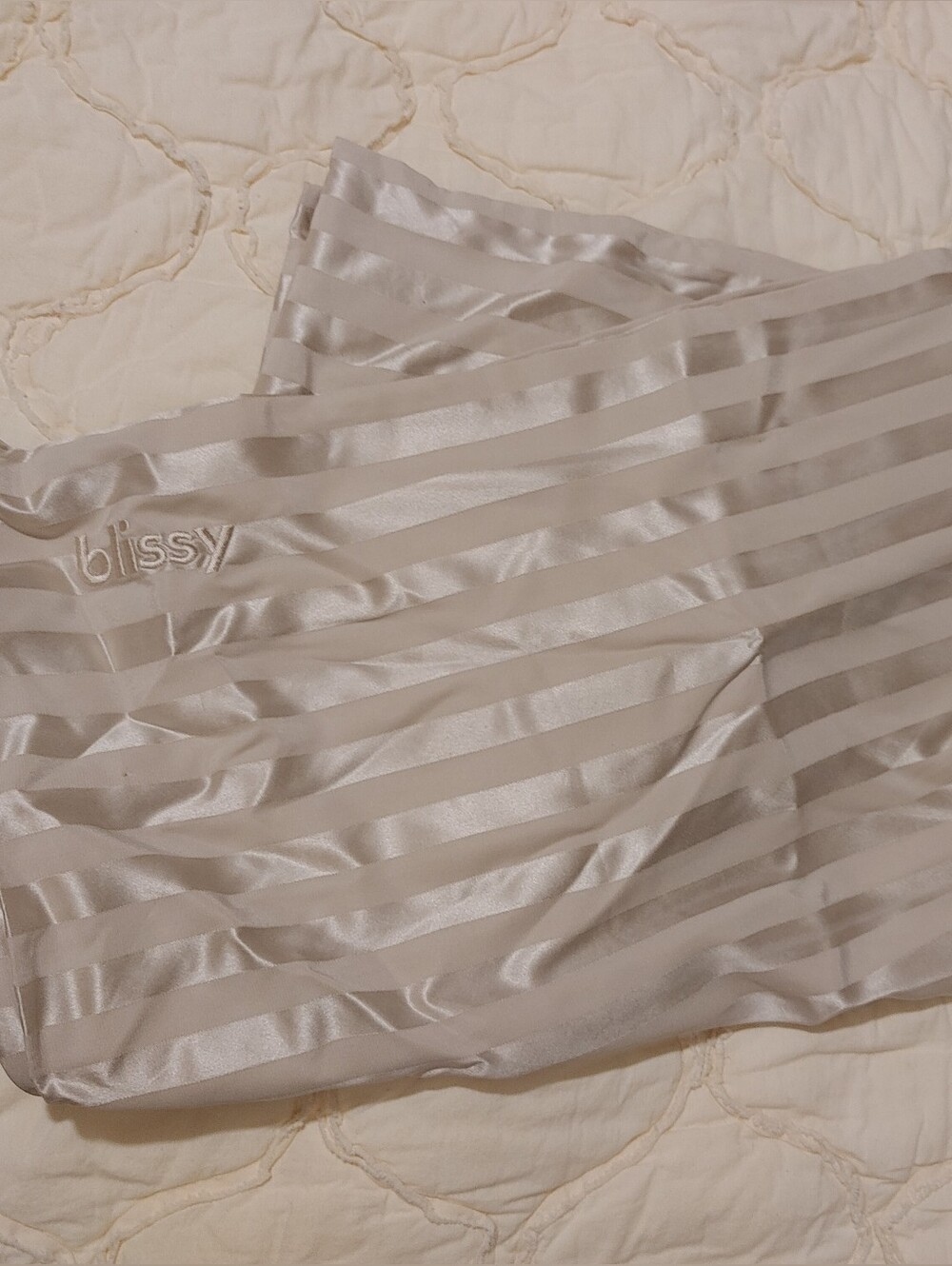 Blissy Silk Pillowcase King Size